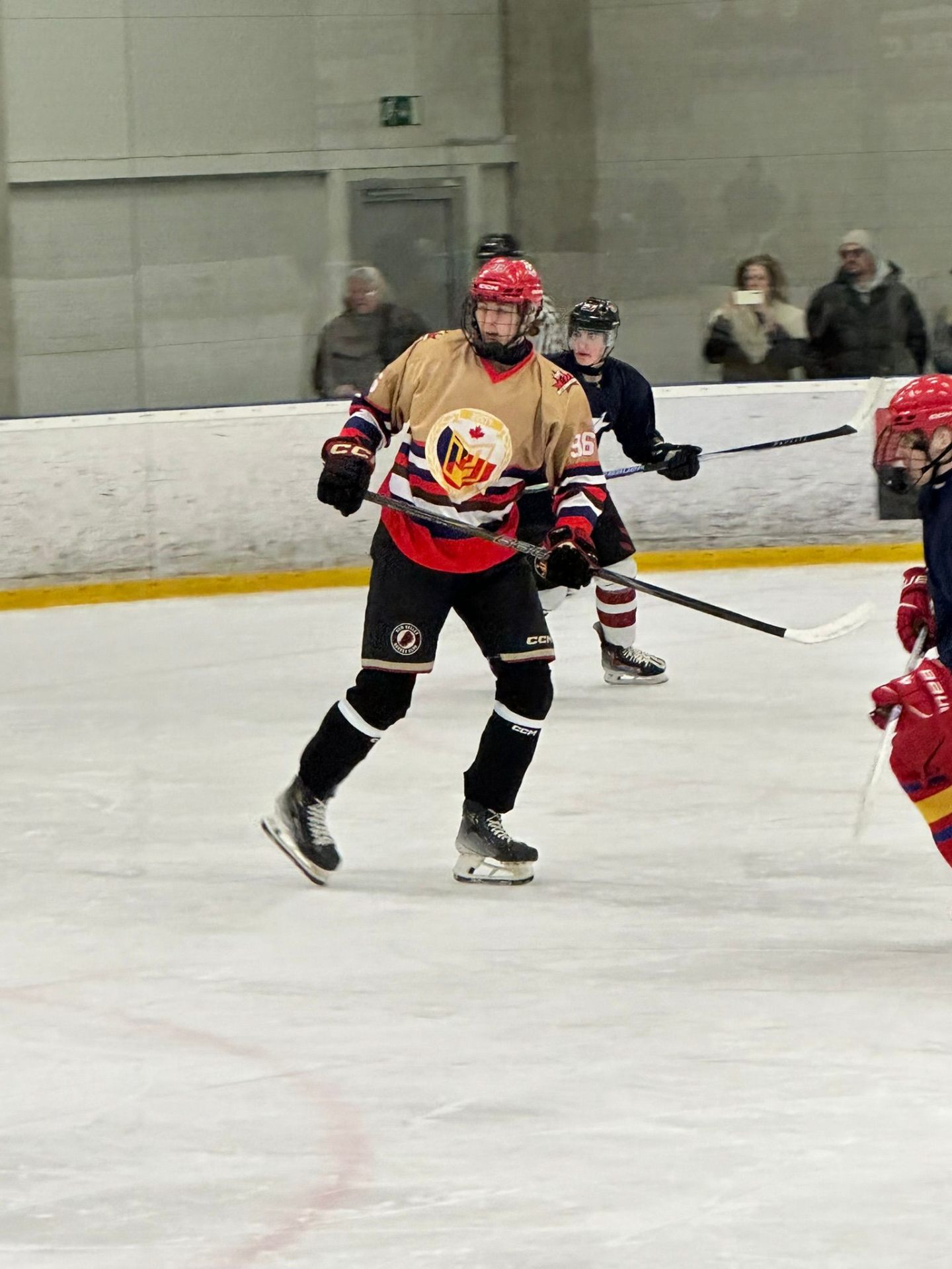 P3 #36 battling for position in front of the net
